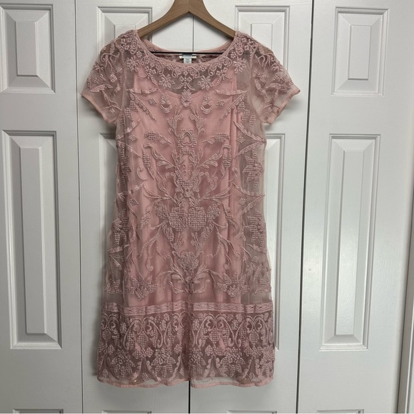 Sundance True Grace Pink Lace Dress Blush Pink Size PXS Made in India - Picture 2 of 15